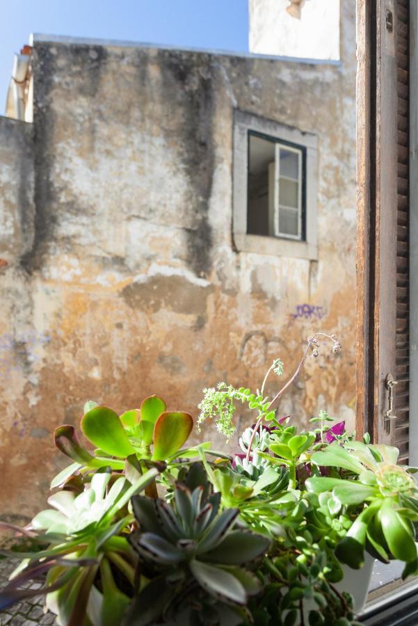 Apartamento New! Nomad Dreams N.3 Cascaes Exterior foto